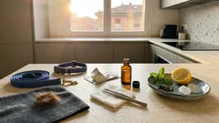 Zecche su cane e gatto: quanto restano attaccate e come toglierle senza errori