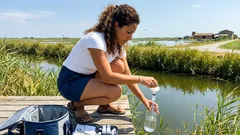 Lontra gigante a Iberá: la reintroduzione storica che riporta vita nelle zone umide