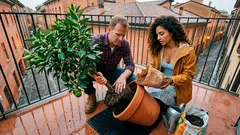 Mandarino in vaso: guida pratica per farlo fiorire e fruttificare sul balcone